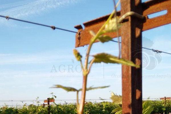 Expanded Vertical Trellis System