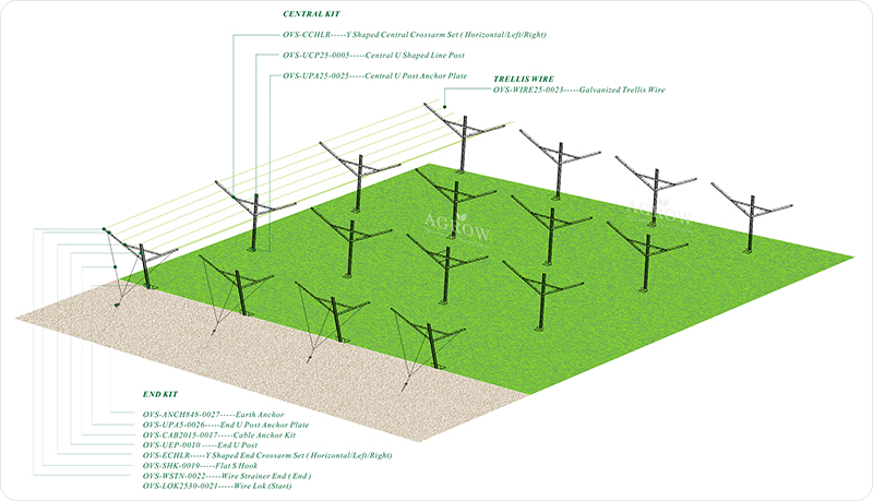 Vineyard Open Gable Trellis System -AGROW-AGTEK.jpg
