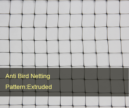 Anti Bird Nets extruded.jpg