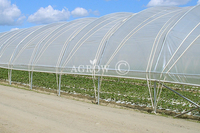 Poly Tunnel met enkele baai