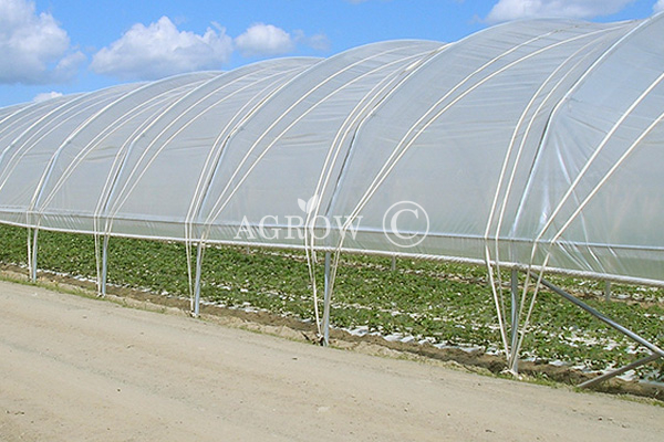 Poly Tunnel met enkele baai