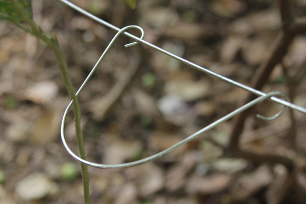 Clip voor Vertical Line Post.jpg