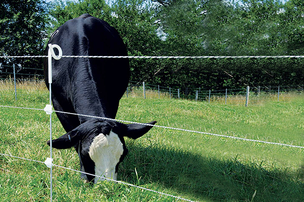 vee vlecht hek post.jpg